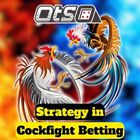 otsobet|betso.